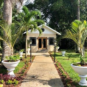 Gold Nugget Hotel